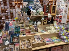 零售区-猫的天空之城概念书店(束河店)