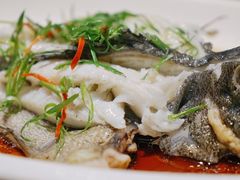 清蒸深海石斑鱼-鑫阿强海鲜大排档·老厦门特色菜(中山路店)