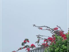 -东部华侨城