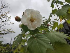 -中国移动南方基地