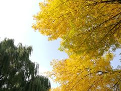-玲珑塔公园