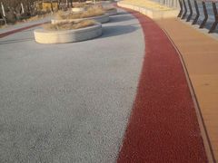 -丁香湖公园
