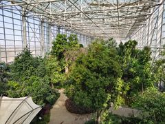 -祥源·阜阳生态乐园