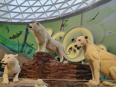 -陕西自然博物馆