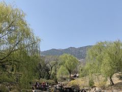 -北京西山国家森林公园