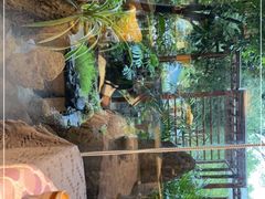 -谷咖啡·鲜花绿植花园餐厅