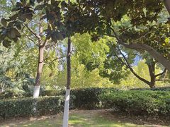 -天鹅湖体育公园