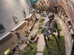 -陕西自然博物馆