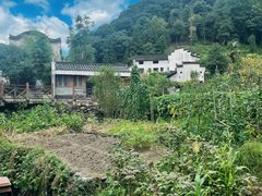 -石台牯牛降景区