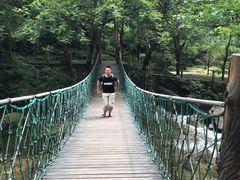 -宁波五龙潭景区