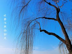 -杭州西湖风景名胜区-北街寻梦