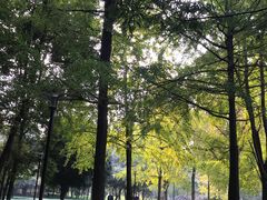 -温江公园
