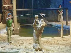 -清迈夜间动物园