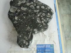 android_upload_pic-云台山风景名胜区