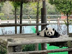-西霞口神雕山野生动物世界