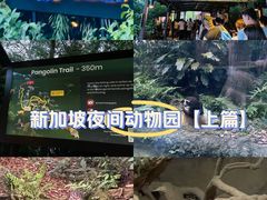 -夜间野生动物园
