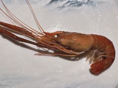 -柳莺湖上·湖景餐厅·江南菜(西湖店)