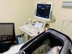 -美联众合动物医院·24h转诊中心
