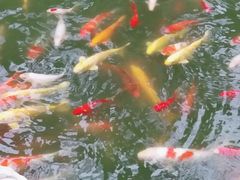 -南通洲际绿博园