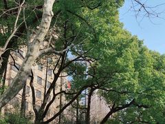 -徐家汇源景区-衡山公园