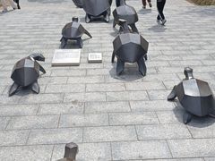 -广东惠东海龟国家级自然保护区
