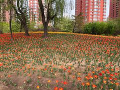 -迎泽公园