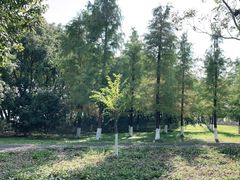 -南湖湿地公园
