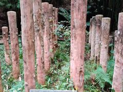 -唐崖土司城遗址