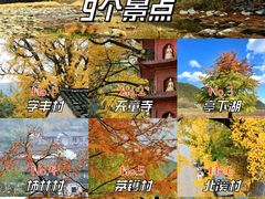 -四明山国家森林公园