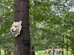 -合肥滨湖国家森林公园