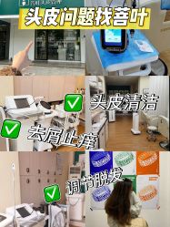 -菩叶脱发白发中心