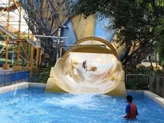 -重庆海昌加勒比海水世界