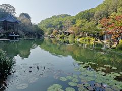 -云溪植物园
