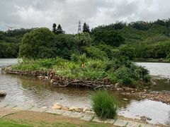 -深圳仙湖植物园