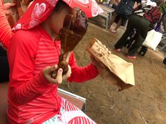 -新加坡水上探险乐园