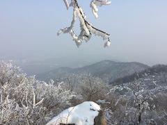 -紫金山索道-售票处