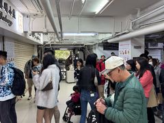 -珍妮曲奇聪明小熊(尖沙咀店)
