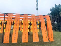 -万绿园