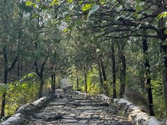 -阳台山自然风景区