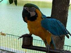 -水上乐园·欢乐世界