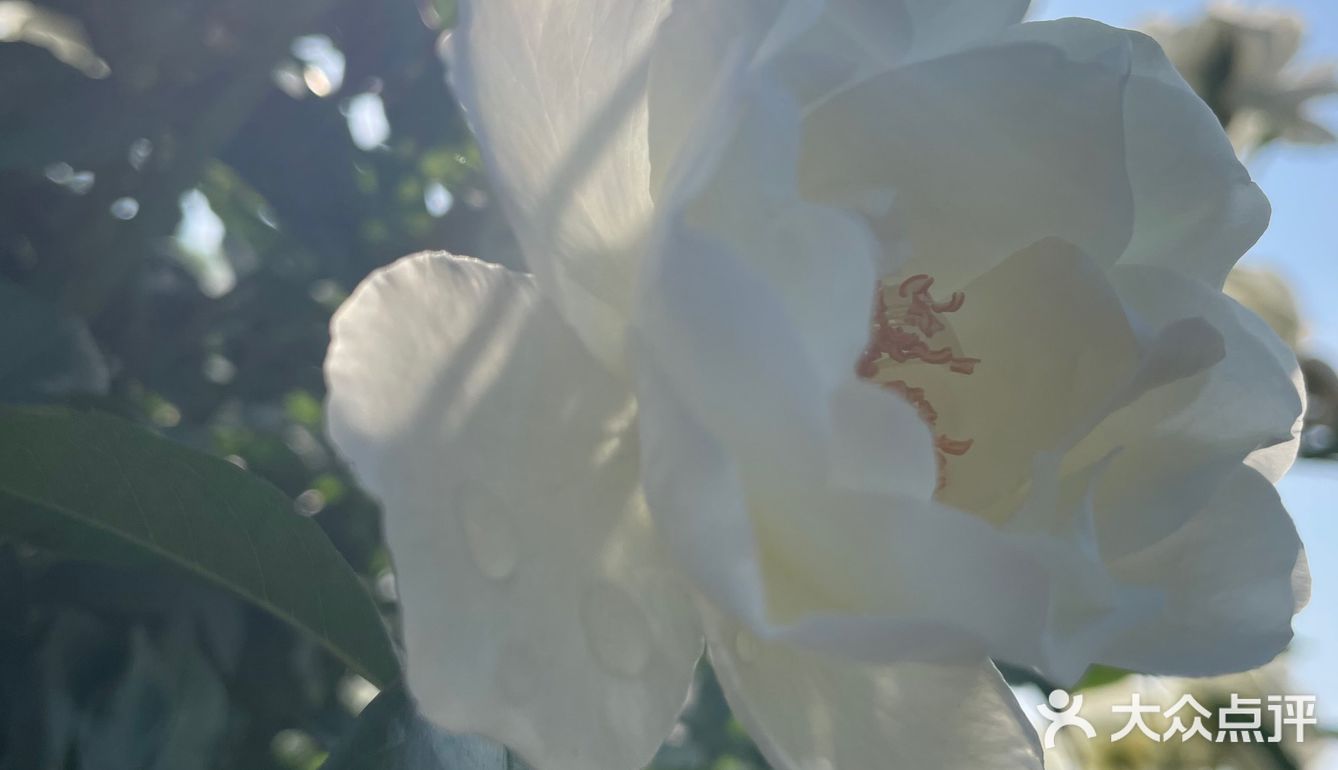 北京植物园 门票五块钱，便宜哭了