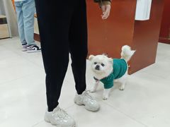 -艾贝尔宠物诊疗