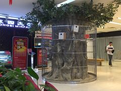 -东四民芳餐厅(世茂工三店)