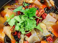 川西毛血旺-成都驻京办餐厅(蜀都宾馆店)