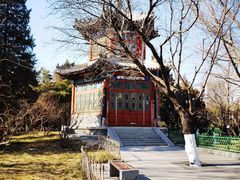 -宣武艺园
