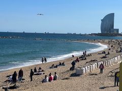 -小巴塞罗那海滩