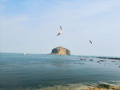 -棒棰岛宾馆景区