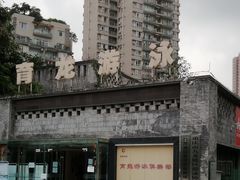 -朱毅育龙游泳俱乐部