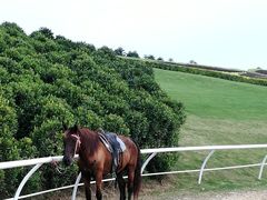 -迪茵湖田家舍生态农场