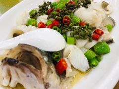 -鸽云轩(望牛墩店)